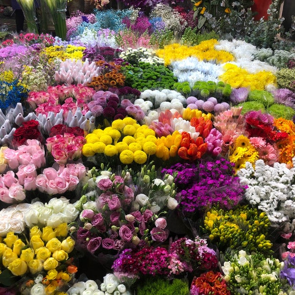 Photos at Hongqiao Bird and Flower Market Mǐnxíng qū Chángníng, 上海市