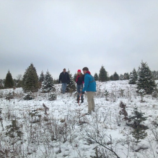 hart christmas tree farm farm in rockford hart christmas tree farm farm in rockford