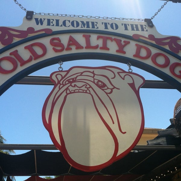 List 94+ Pictures the old salty dog photos Excellent