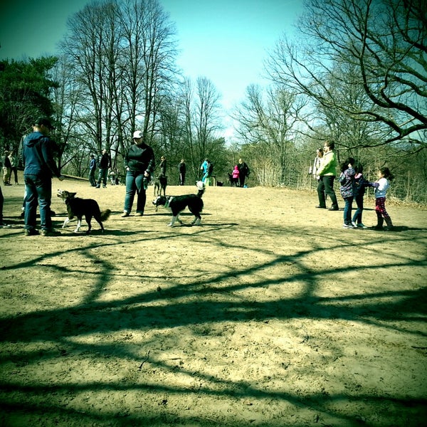 High Park Dog Park - Dog Run in Toronto