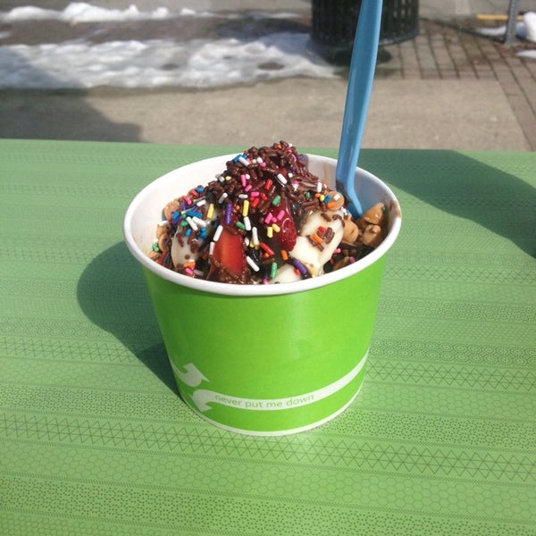 The Red Peppermint Frozen Yogurt Shop in Madison