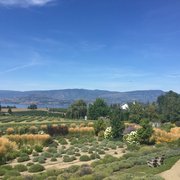 Okanagan Lavender Herb Farm Garden