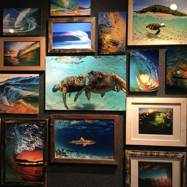 Clark Little Gallery Art Gallery in Haleiwa