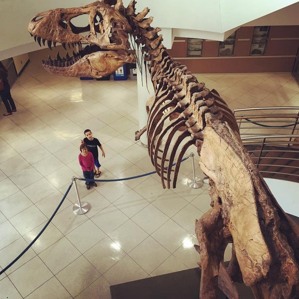 paleontology museum byu