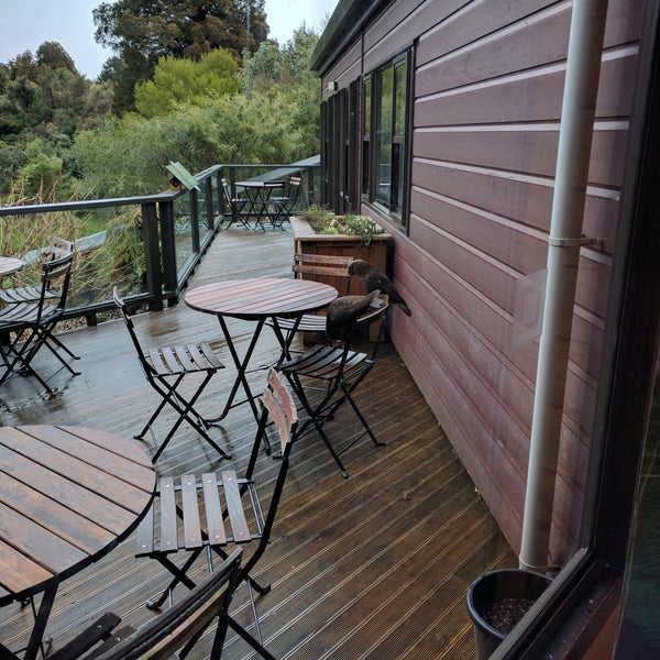 Pukaha Mount Bruce Wildlife Centre Masterton, Wairarapa