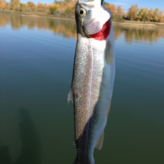 Lon Hagler Reservoir - 2 tips from 79 visitors