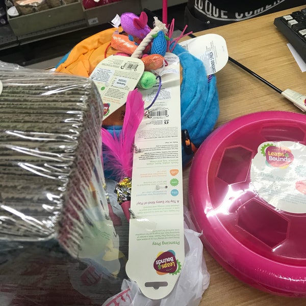 Petco San Antonio Nonoalco Mixcoac 7 tips