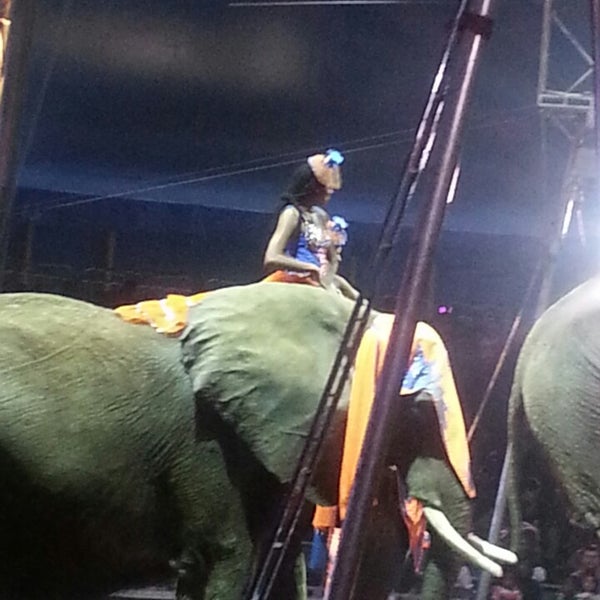 Universal Soul Circus - Washington Park - 4 tips from 120 visitors