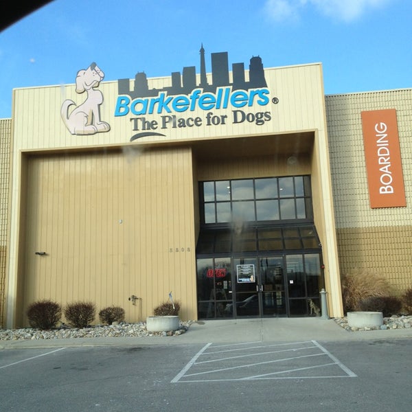 barkefellers pet store in indianapolis barkefellers pet store in indianapolis