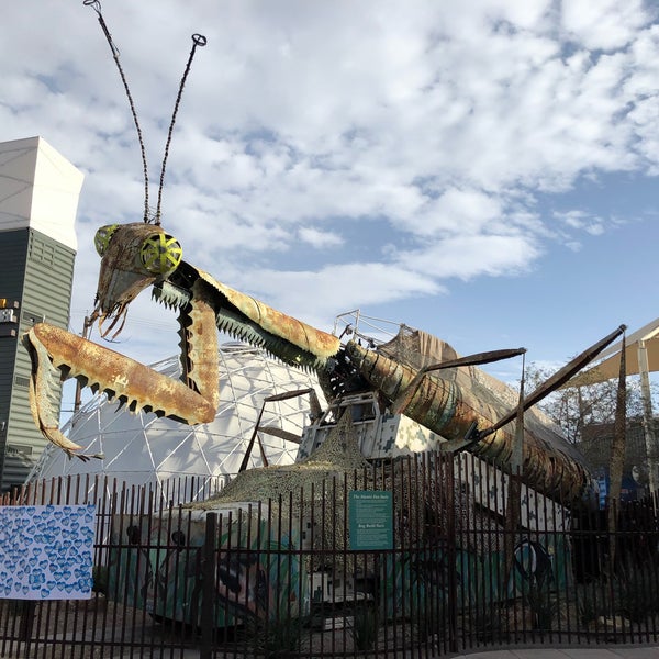 Praying Mantis - Downtown Las Vegas - Las Vegas, NV