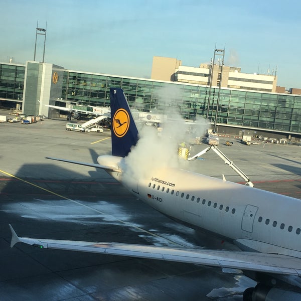 Gate Z20 Airport Gate in Frankfurt am Main