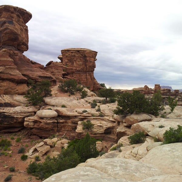 Canyonlands Needles District Moab UT   29997607 HLYYI3D3Iw8YQgneB8bIG5Y38 NhwUztUzgbMS 8tyI 