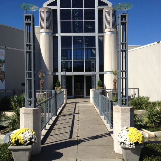Harn Museum of Art 20 tips from 827 visitors