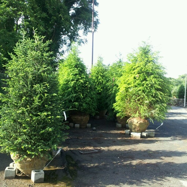 Shemin Nurseries Thenurseries Photos At Shemin Nurseries Mahwah 12 101 Weyerhaeuser Road
