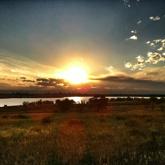 Cherry Creek Dog Park 9 tips