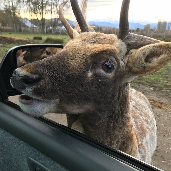 Olympic Game Farm 15 tips