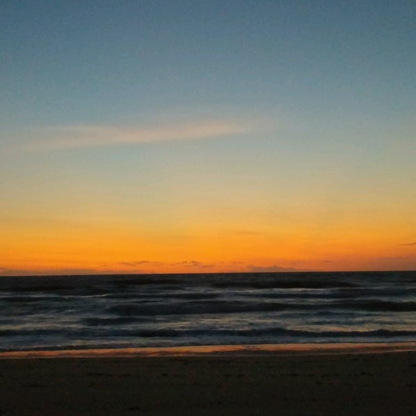 Bicentennial Park - Beach