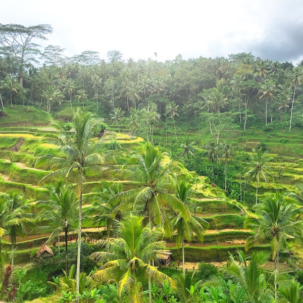 Teras Padi Cafe - Café in Ubud