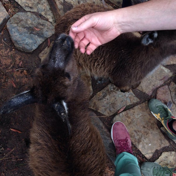 Paul's Place Wildlife Sanctuary Stokes Bay, SA