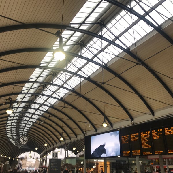 Newcastle Upon Tyne 19 tips