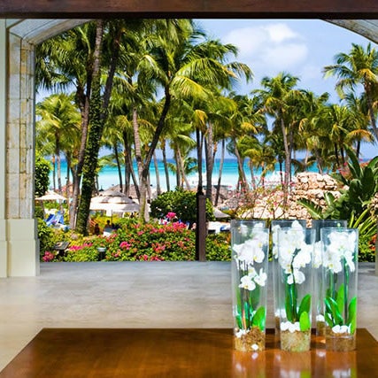 Aruba gambling tips