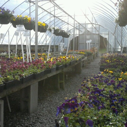 Photos at Big Bloomers Flower Farm - Garden Center in Sanford