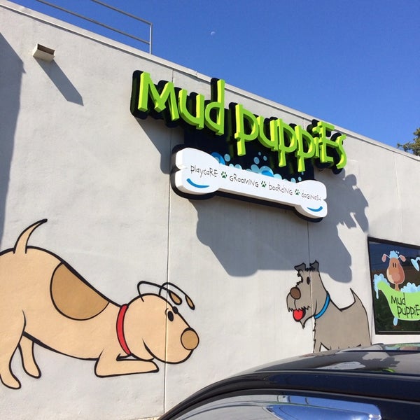 Mud Puppies South Riverside Austin, TX