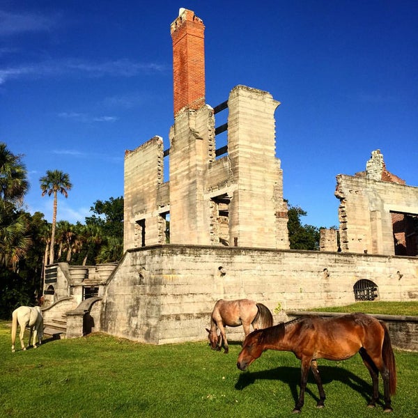 List 92+ Pictures Dungeness (cumberland Island, Georgia) Photos Excellent