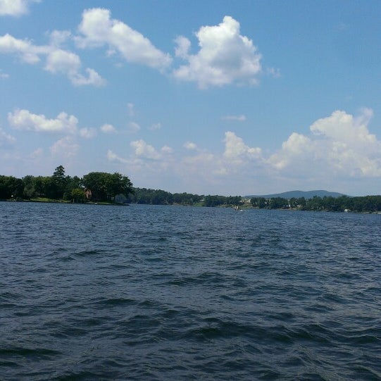 Lake Hamilton 40 visitors