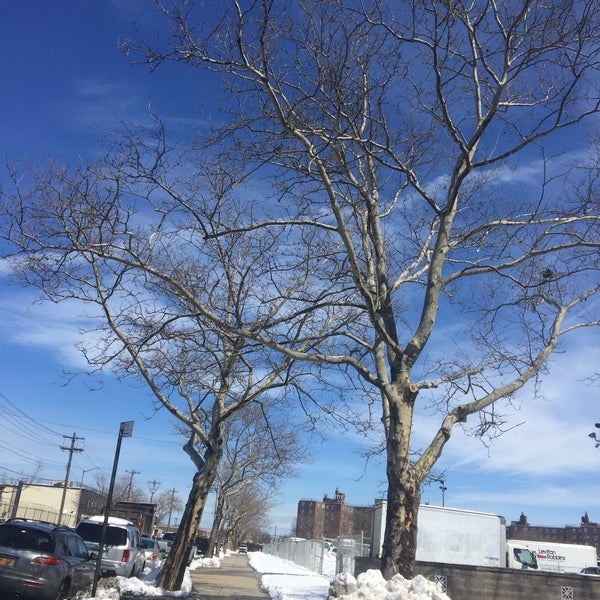 Canarsie Neighborhood