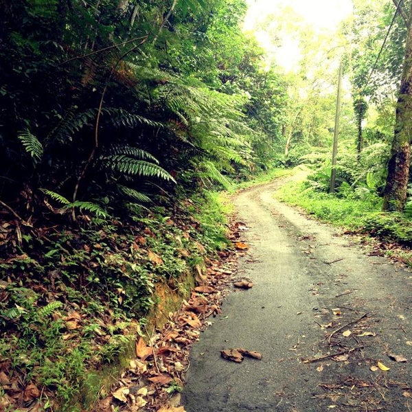 Kaki Bukit Dinding 