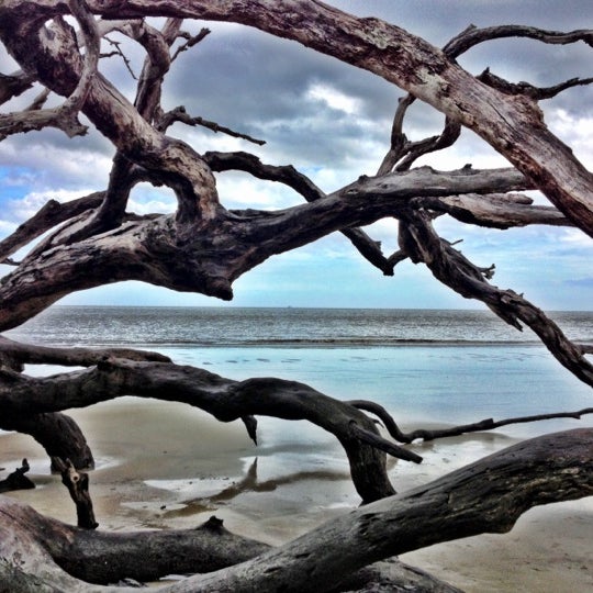 Driftwood Beach 15 tips