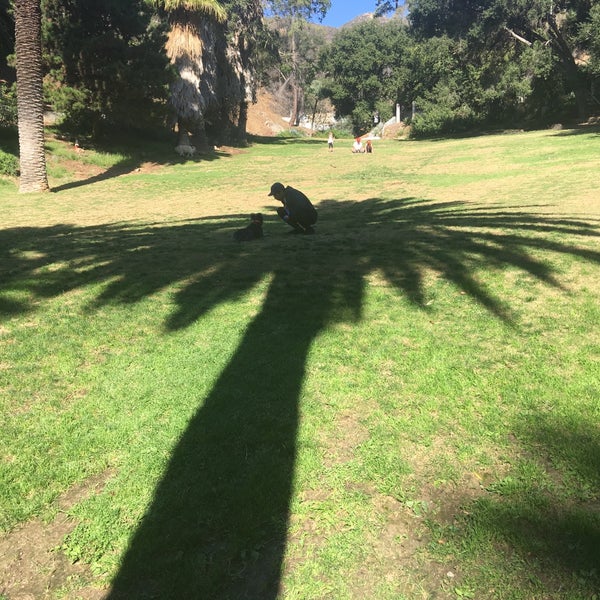 Wattles Dog Park Dog Run in Los Angeles