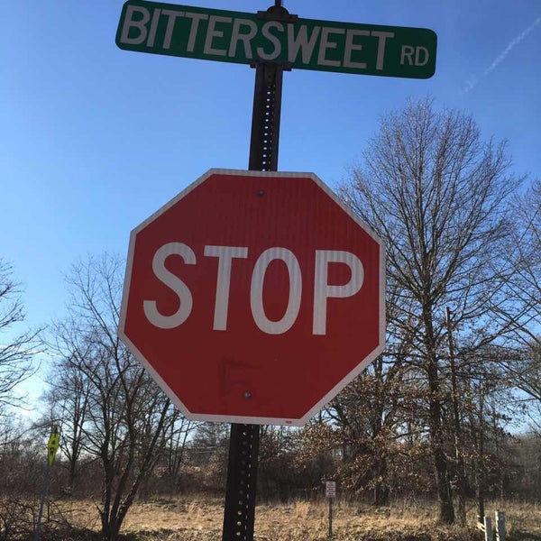 Image result for bittersweet street sign