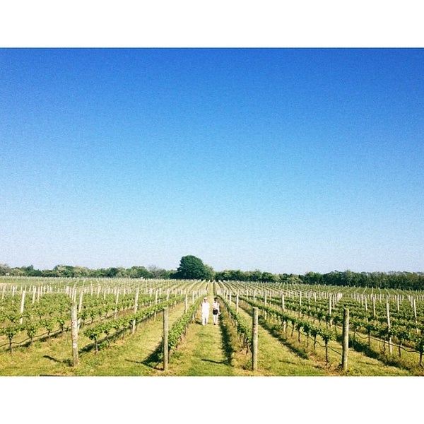 Sparkling Pointe Vineyards Winery