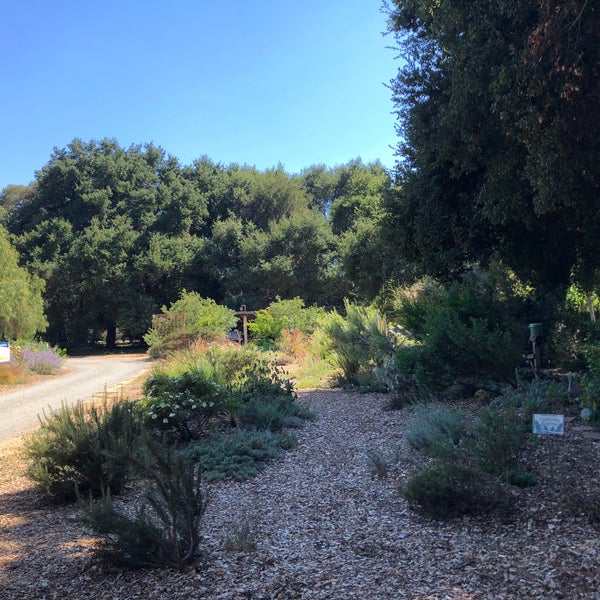 Palo Alto Community Garden - Garden in Palo Alto
