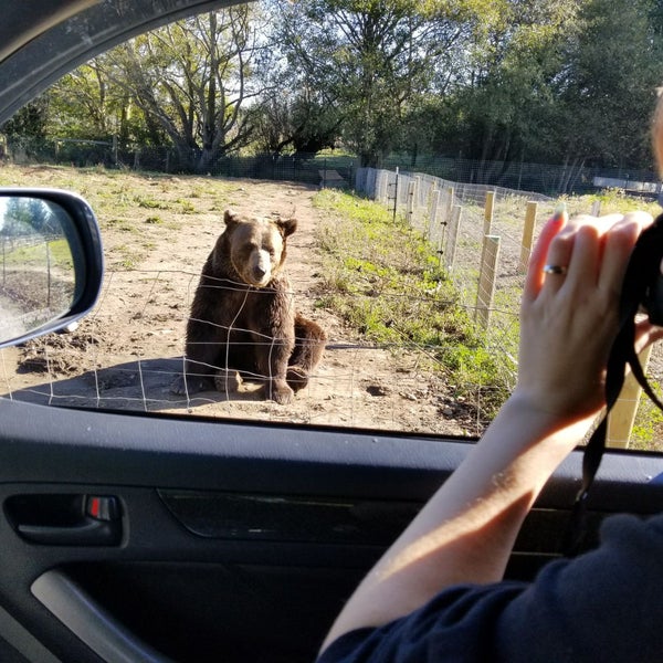 Olympic Game Farm 15 tips