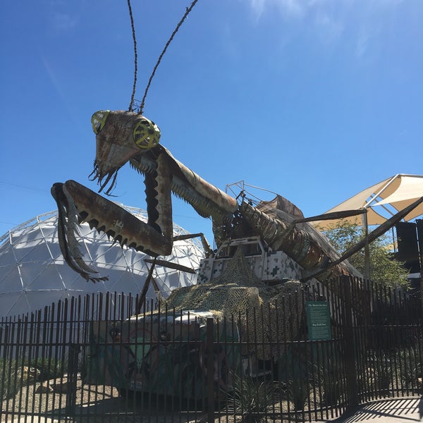 Praying Mantis - Downtown Las Vegas - Las Vegas, NV