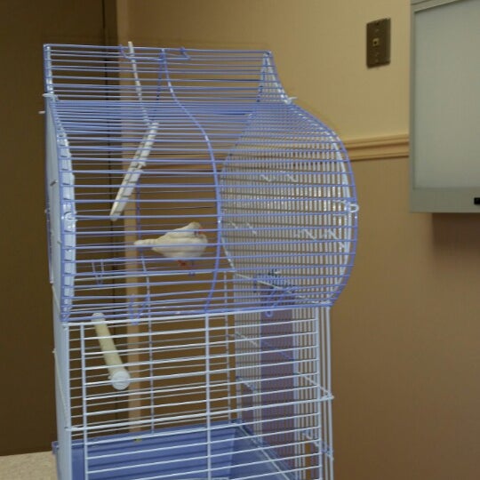 Atlantic Animal Clinic Pompano Beach Fl Atlantic Animal Clinic Pompano Beach Fl