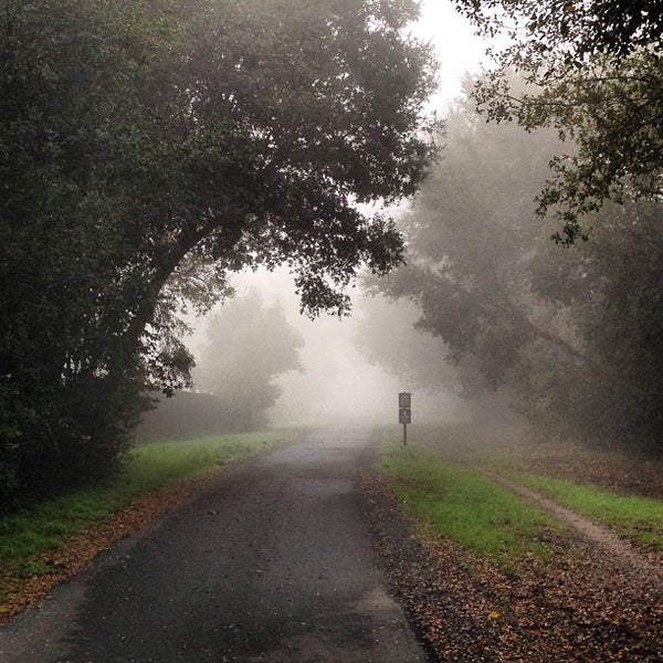 LafayetteMoraga Regional Trail Pleasant Hill Road at Olympic Boulevard