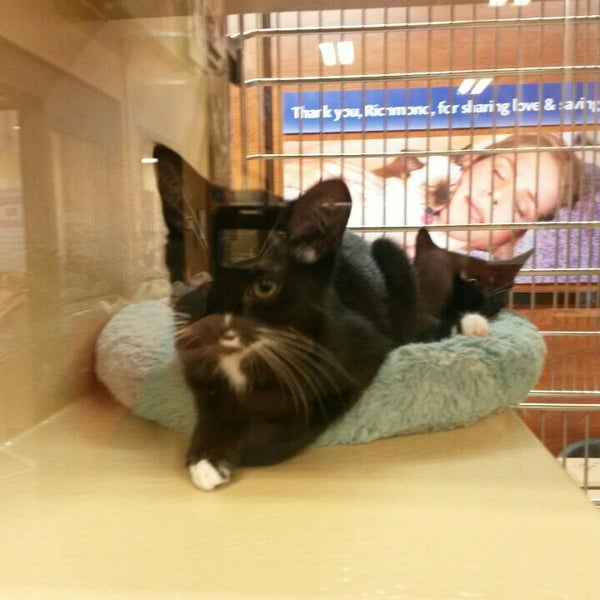 PetSmart Pet Store in Richmond