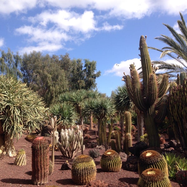 Where's Good? Holiday and vacation recommendations for Fuerteventura, Spain. What's good to see, when's good to go and how's best to get there.