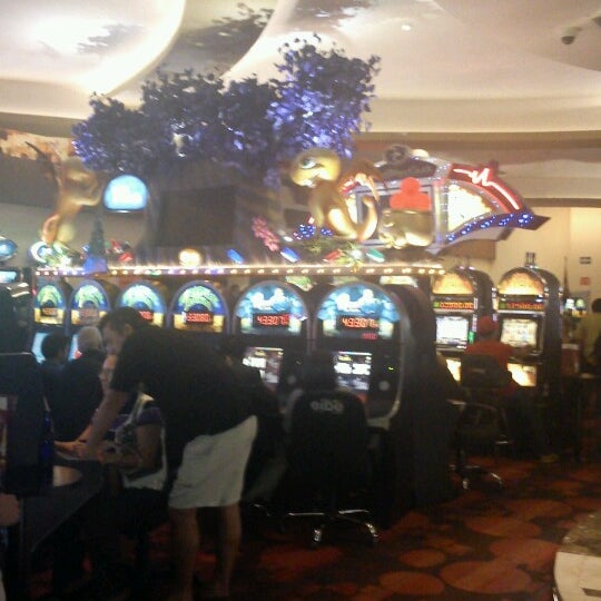 Winpot casino playa del carmen