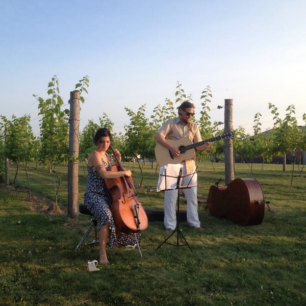 Vines & Rushes Winery Ripon, WI