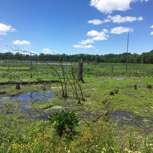 Sandy Ridge Reservation Park