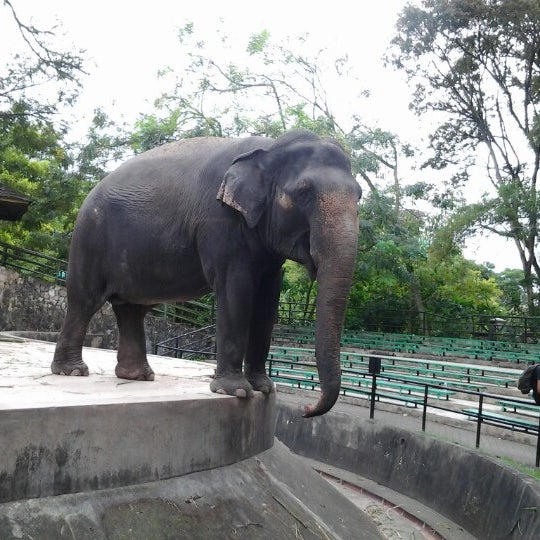 Zoo Negara (National Zoo) - Ampang, Selangor