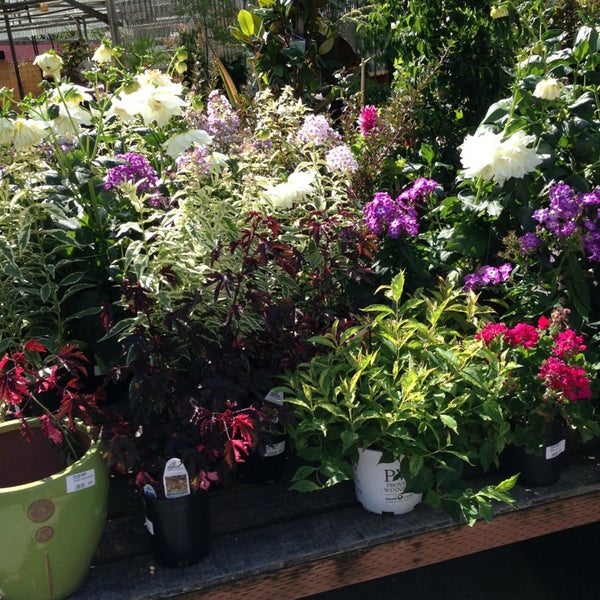 Photos At Portland Nursery Mt Tabor 5050 Se Stark St Photo Taken At Portland Nursery By Llcoolshaun On 7 11 2017