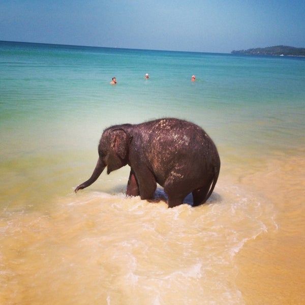 Where's Good? Holiday and vacation recommendations for Phuket, Thailand. What's good to see, when's good to go and how's best to get there.