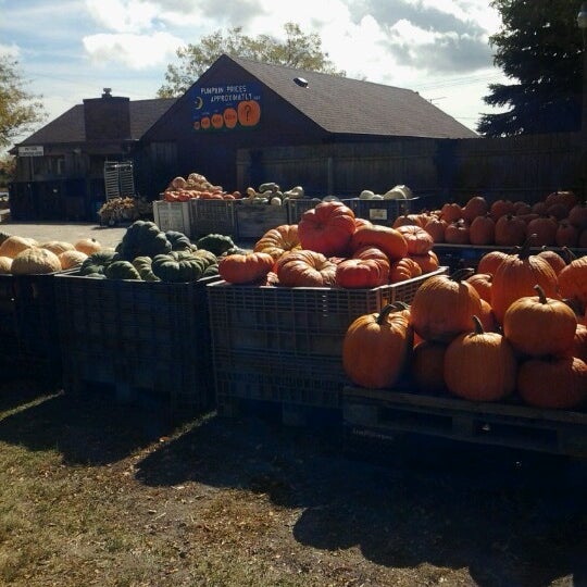 Jerry Smith Pumpkin Farm Farm