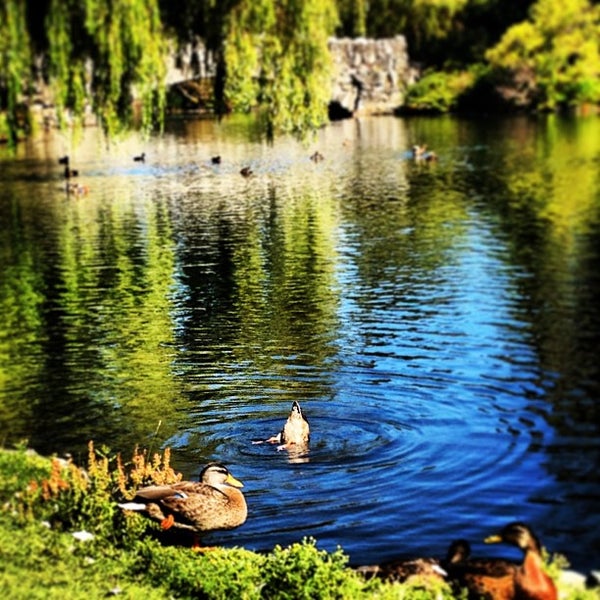 Beacon Hill Park Park in Victoria